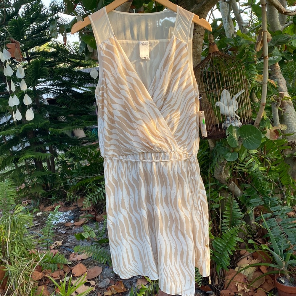 Ali Ro Cream and Gold Dress